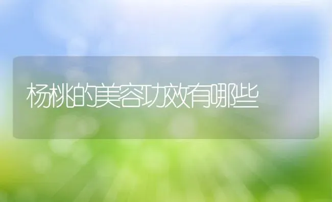 杨桃的美容功效有哪些 | 养殖资料投稿