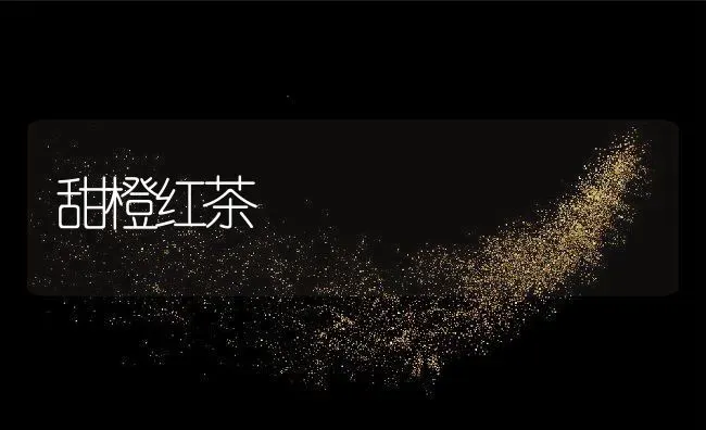 甜橙红茶 | 养殖资讯