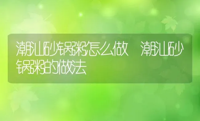 潮汕砂锅粥怎么做 潮汕砂锅粥的做法 | 养殖资讯