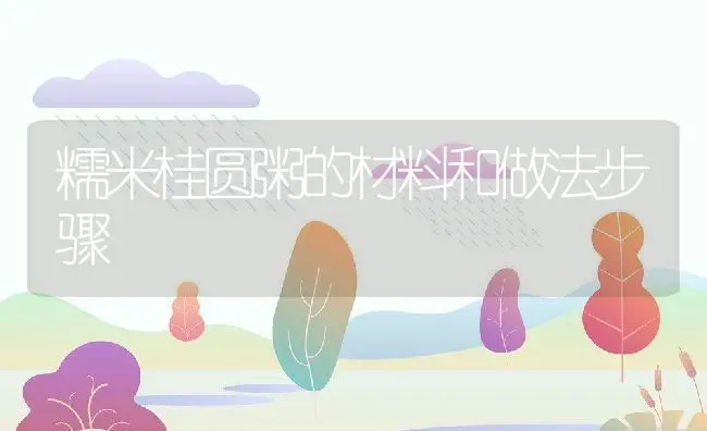 糯米桂圆粥的材料和做法步骤 | 养殖资讯