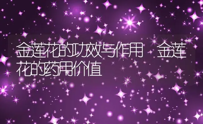 金莲花的功效与作用 金莲花的药用价值 | 养殖资料投稿