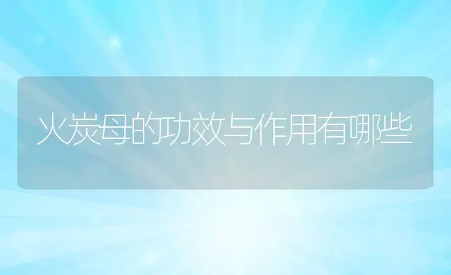 火炭母的功效与作用有哪些 | 养殖资料投稿