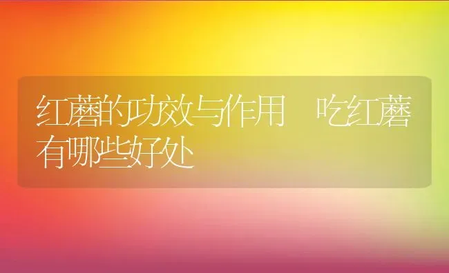 红蘑的功效与作用 吃红蘑有哪些好处 | 养殖资料投稿