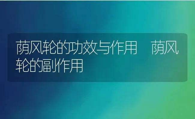 荫风轮的功效与作用 荫风轮的副作用 | 养殖资料投稿