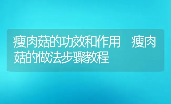 瘦肉菇的功效和作用 瘦肉菇的做法步骤教程 | 养殖资料投稿