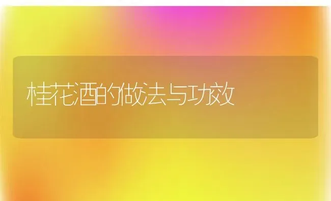 桂花酒的做法与功效 | 养殖资料投稿