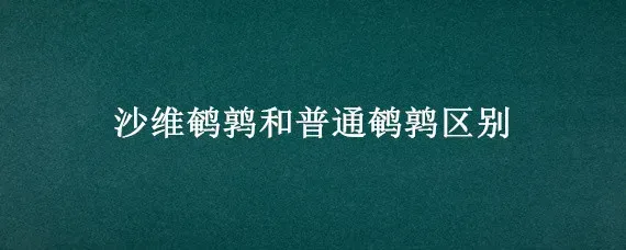 沙维鹌鹑和普通鹌鹑区别