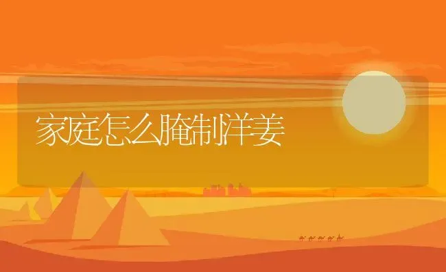 家庭怎么腌制洋姜 | 养殖资料投稿
