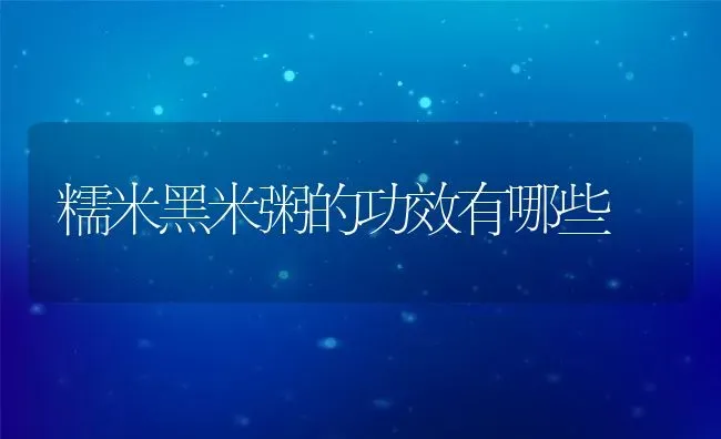 糯米黑米粥的功效有哪些 | 养殖资料投稿