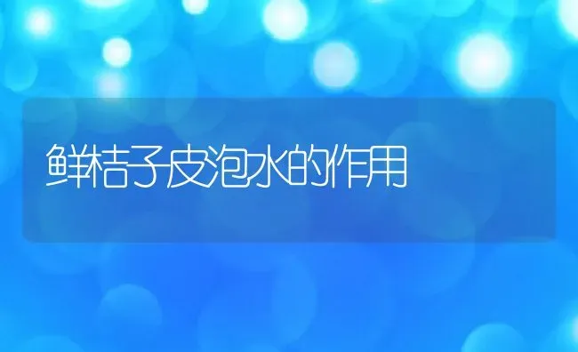 鲜桔子皮泡水的作用 | 养殖资料投稿