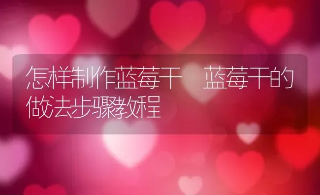 怎样制作蓝莓干 蓝莓干的做法步骤教程 | 养殖资料投稿