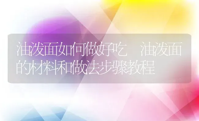 油泼面如何做好吃 油泼面的材料和做法步骤教程 | 养殖资讯