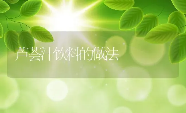 芦荟汁饮料的做法 | 养殖资料投稿