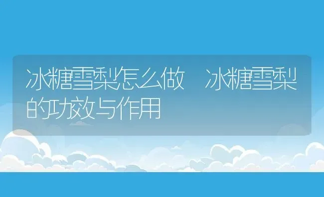 冰糖雪梨怎么做 冰糖雪梨的功效与作用 | 养殖资料投稿