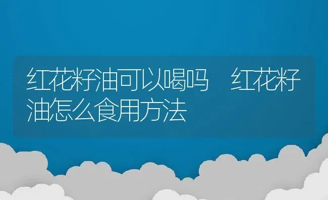 红花籽油可以喝吗 红花籽油怎么食用方法 | 养殖资料投稿