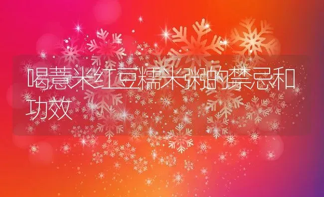 喝薏米红豆糯米粥的禁忌和功效 | 养殖资讯