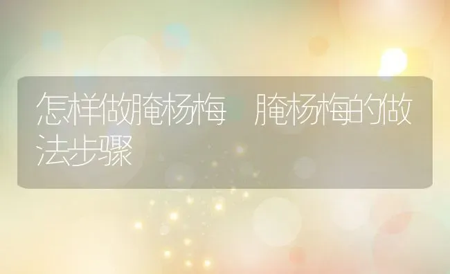 怎样做腌杨梅 腌杨梅的做法步骤 | 养殖资料投稿