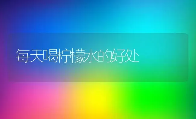 每天喝柠檬水的好处 | 养殖资料投稿