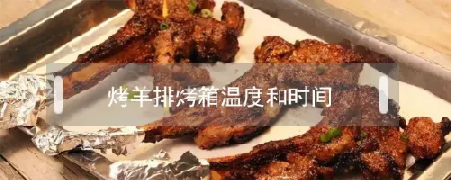 烤羊排烤箱温度和时间