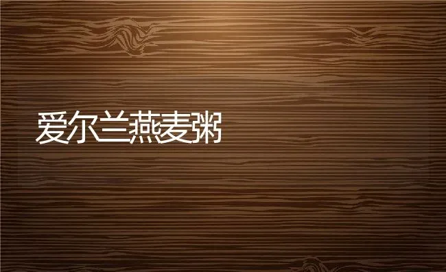 爱尔兰燕麦粥 | 养殖资料投稿