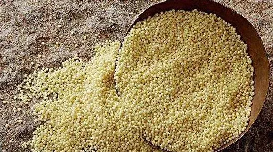 小米和糜子的区别