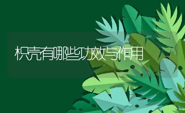 枳壳有哪些功效与作用 | 养殖资料投稿