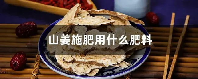 山姜施肥用什么肥料