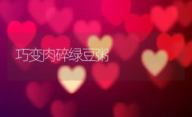 巧变肉碎绿豆粥 | 养殖资讯