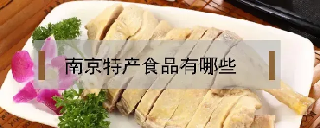 南京特产食品有哪些推荐