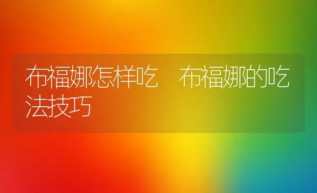 布福娜怎样吃 布福娜的吃法技巧 | 养殖资料投稿