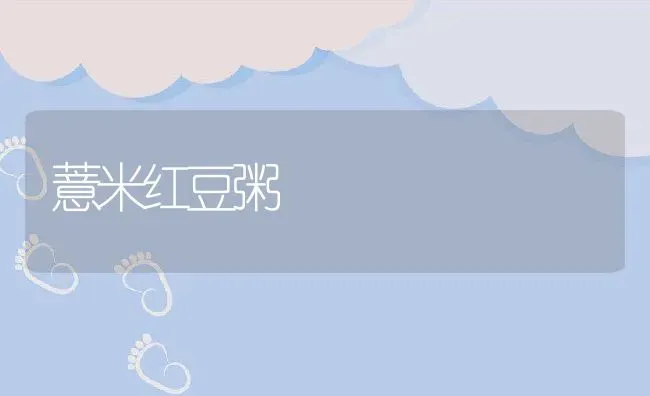 薏米红豆粥 | 养殖资讯