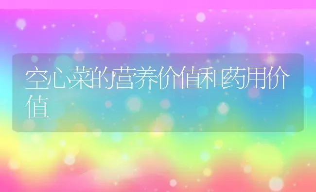 空心菜的营养价值和药用价值 | 养殖资料投稿