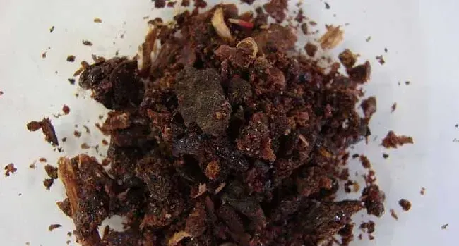 男人长期吃蜂胶有什么副作用？
