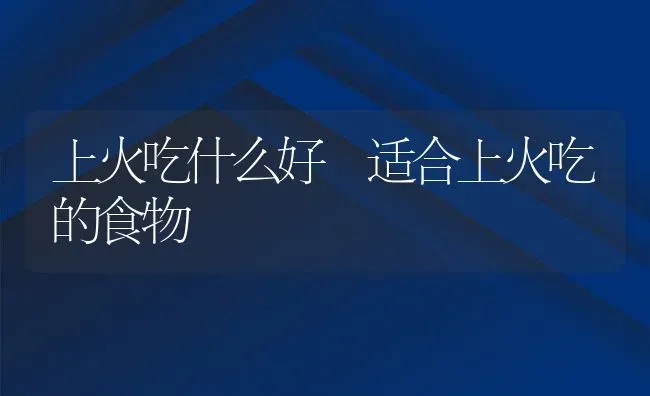 上火吃什么好 适合上火吃的食物 | 养殖资料投稿