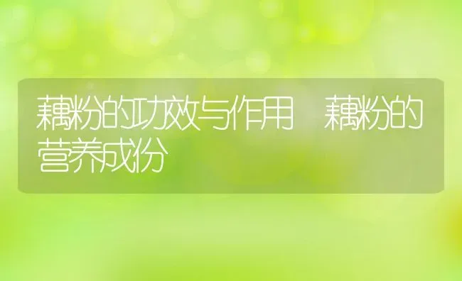 茯苓粉怎么吃 茯苓粉怎么冲服 | 养殖资料投稿