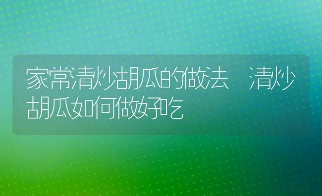家常清炒胡瓜的做法 清炒胡瓜如何做好吃 | 养殖资料投稿