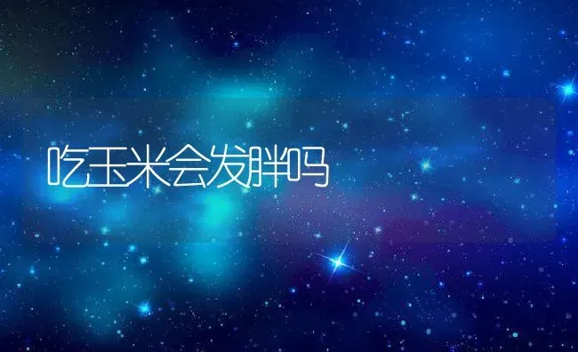 吃玉米会发胖吗 | 养殖资料投稿