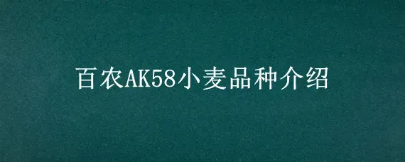 百农AK58小麦品种介绍