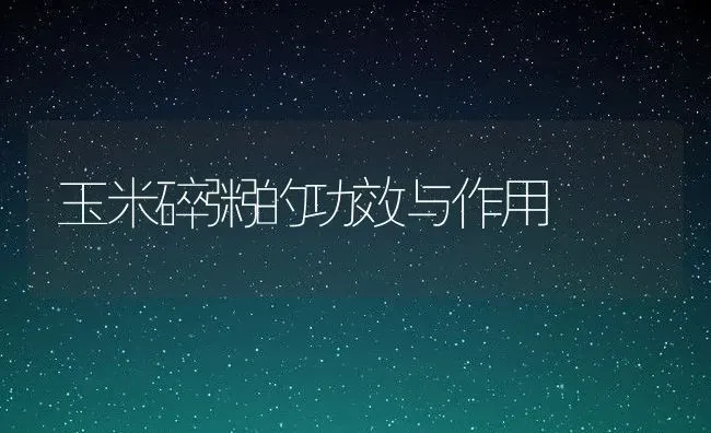玉米碎粥的功效与作用 | 养殖资讯