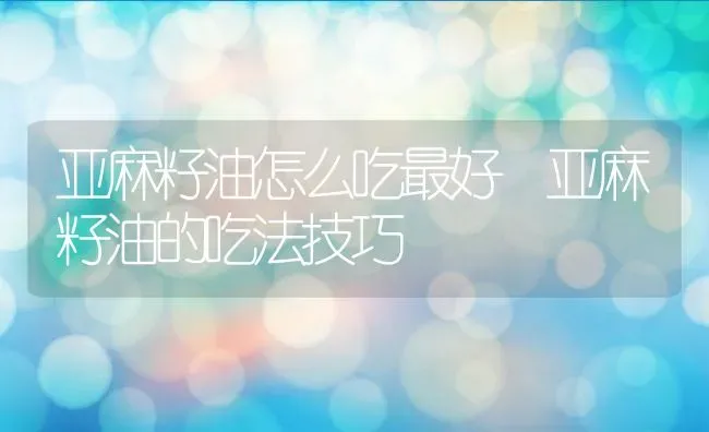 亚麻籽油怎么吃最好 亚麻籽油的吃法技巧 | 养殖资料投稿
