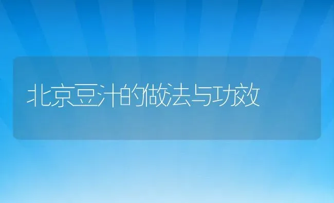 紫菀的功效与作用及药用价值 | 养殖资料投稿