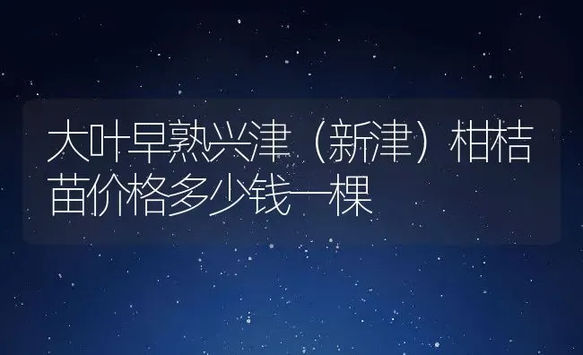 大叶早熟兴津（新津）柑桔苗价格多少钱一棵 | 养殖资讯