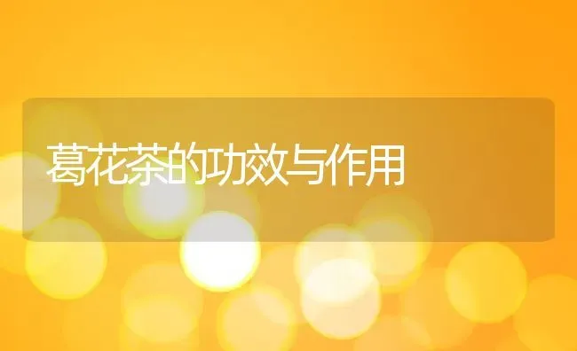 葛花茶的功效与作用 | 养殖资料投稿