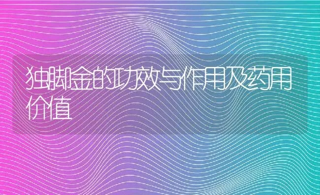 独脚金的功效与作用及药用价值 | 养殖资料投稿