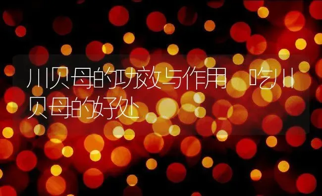 川贝母的功效与作用 吃川贝母的好处 | 养殖资料投稿