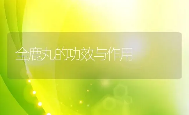 全鹿丸的功效与作用 | 养殖资料投稿