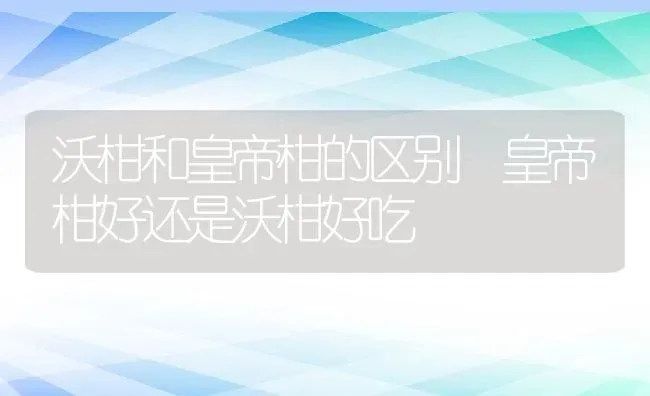 沃柑和皇帝柑的区别 皇帝柑好还是沃柑好吃 | 养殖资料投稿