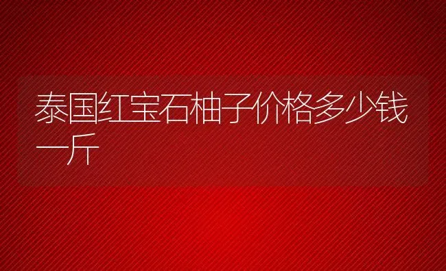 泰国红宝石柚子价格多少钱一斤 | 养殖资讯