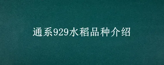 通系929水稻品种介绍