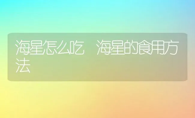 海星怎么吃 海星的食用方法 | 养殖资料投稿